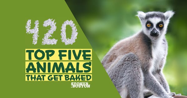 10 Bizarre Animal Facts