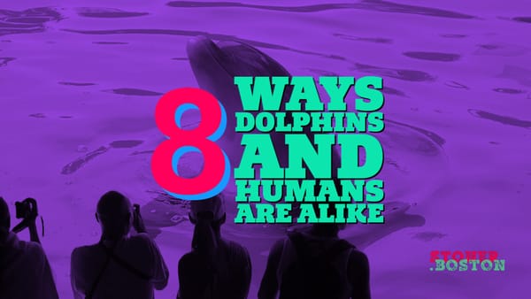 10 Bizarre Animal Facts
