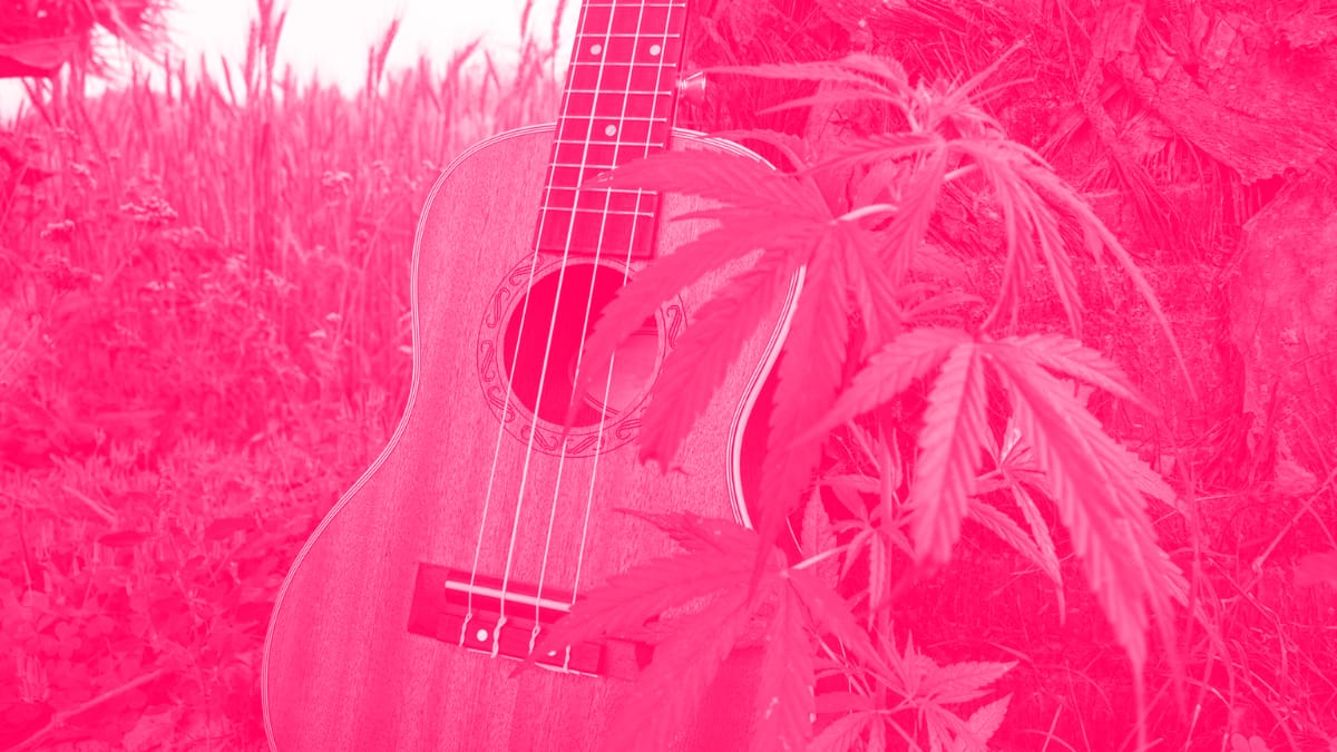 Acoustic 4 String Nylon Guitar with Cannabis Plant