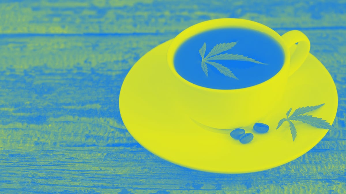 Cannabis Tea at 420 in Amsterdam
