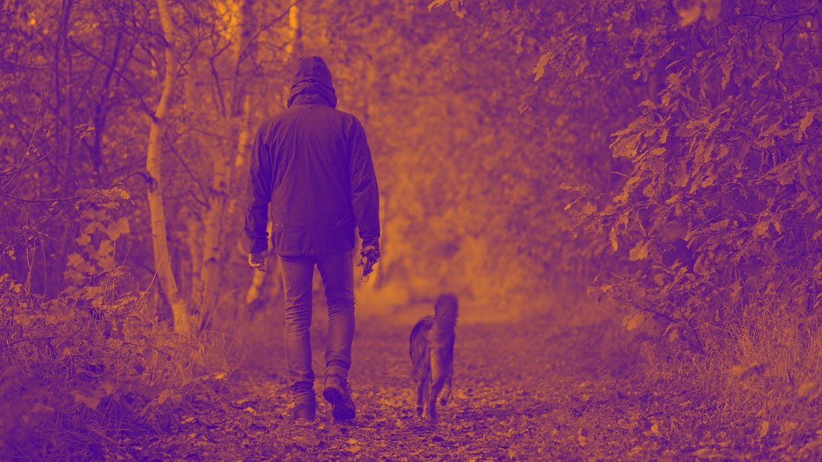 Walking and changing scenery can relieve anxiety.