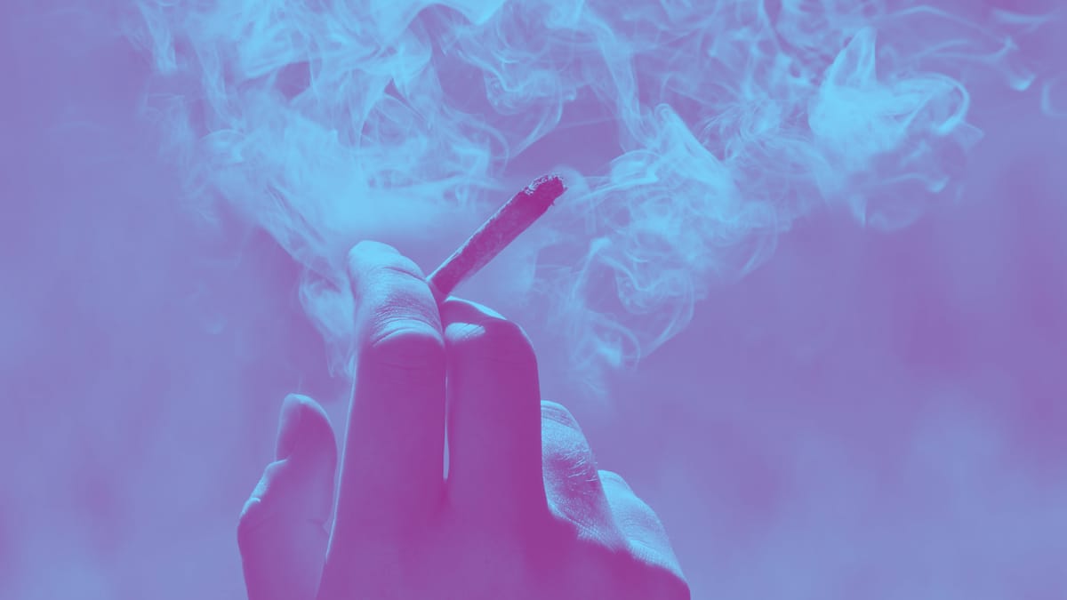 Linalool has a multitude of uses. It can be used to balance the endocannabinoid system.