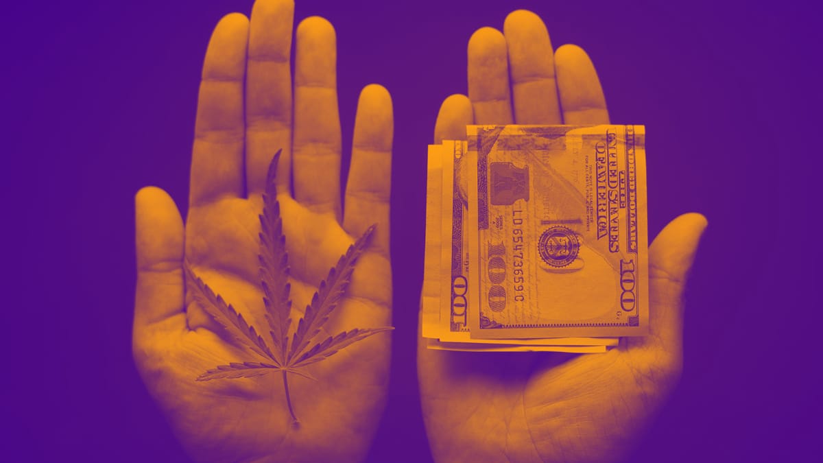 Wide Salary Ranges for Cannabis Jobs
