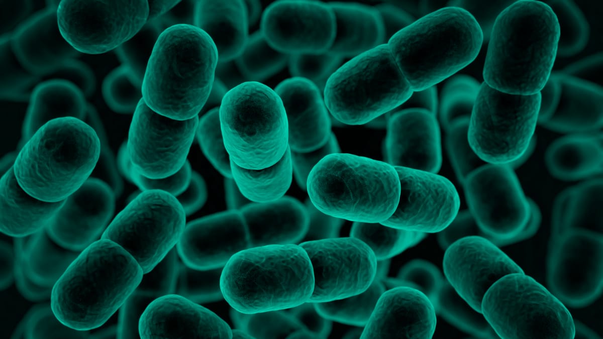 Biotechnology Genetically Engineered Microbes