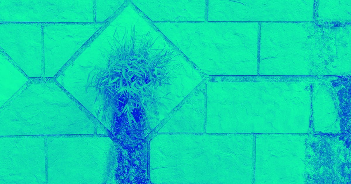 Hemp Homes can Protect the Interior From Moisture