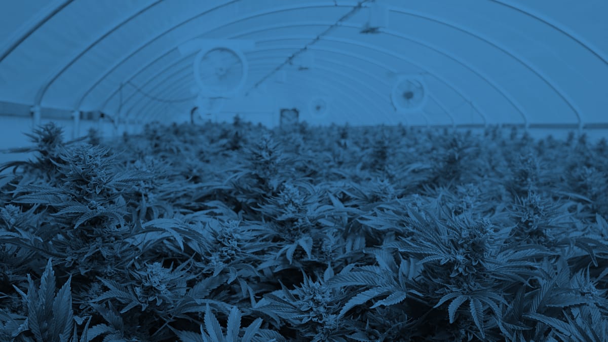 Artificial Intelligence (AI) for Smart Cultivation