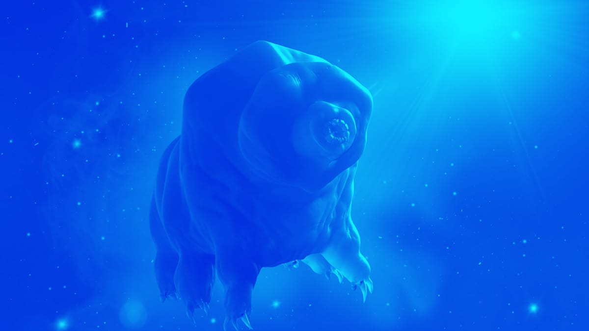 Tardigrades - Rehydratable life
