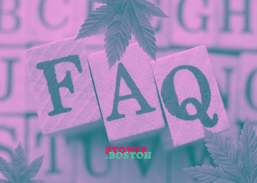 FAQs- Your Common Cannabis Storage Questions