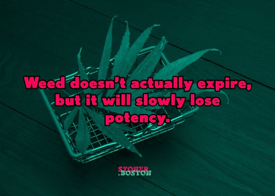 Weed doesn't actually expire, but it will slowly lose potency.