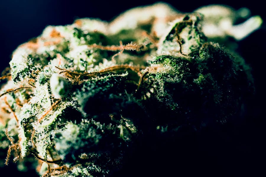 Terpenes are created by the plant.