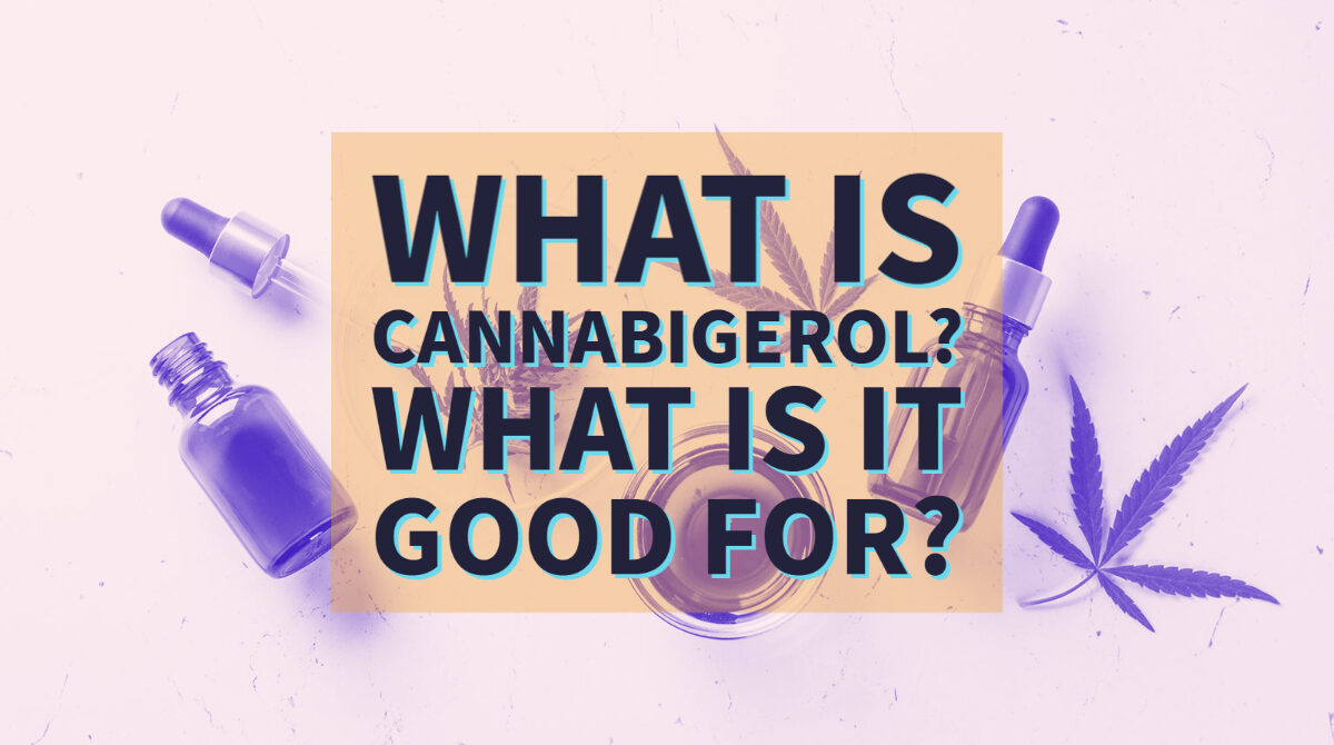 Cannabigerol What is it What is it good for