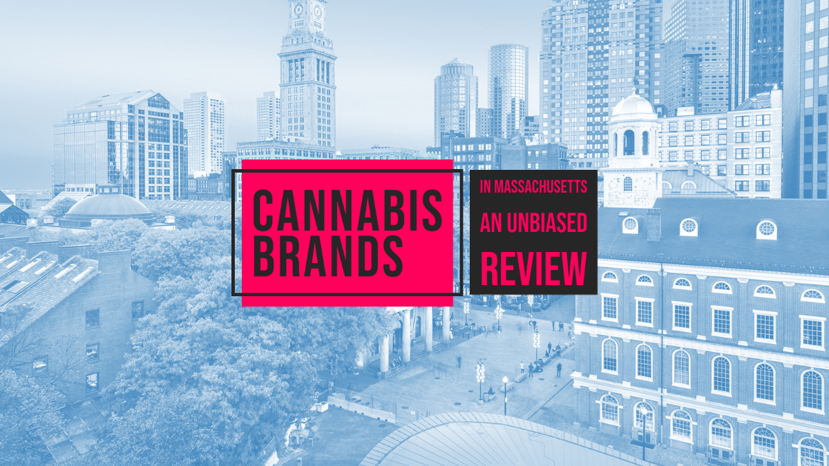 Cannabis Brands in Massachusetts an Unbiased Review