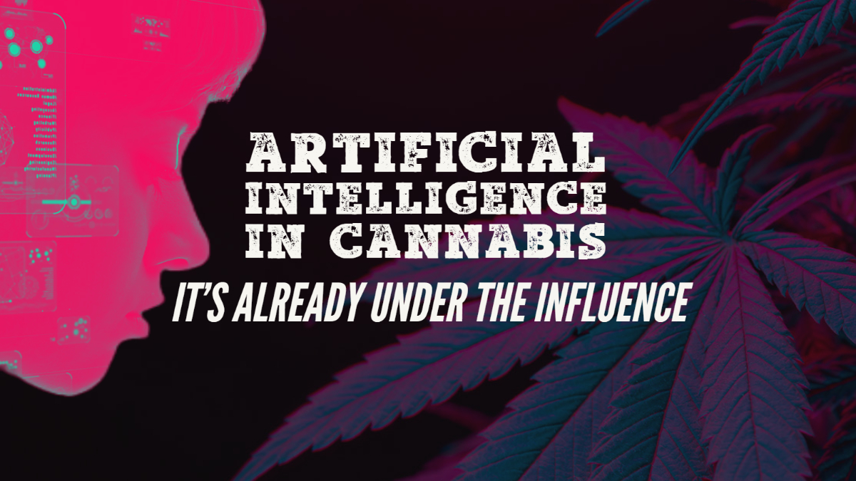 Artificial Intelligence In Cannabis It's Already Under The Influence