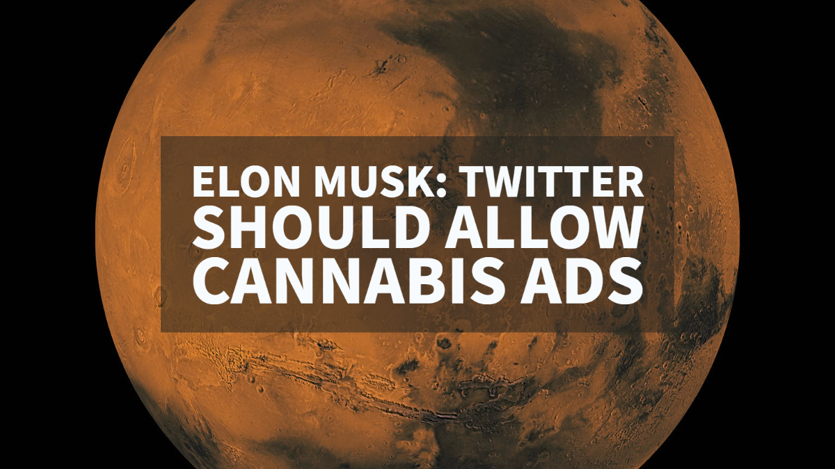 Elon Musk - Twitter Should Allow Cannabis Advertising