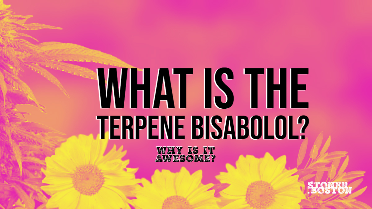 What is the terpene Bisabolol and why is it awesome?