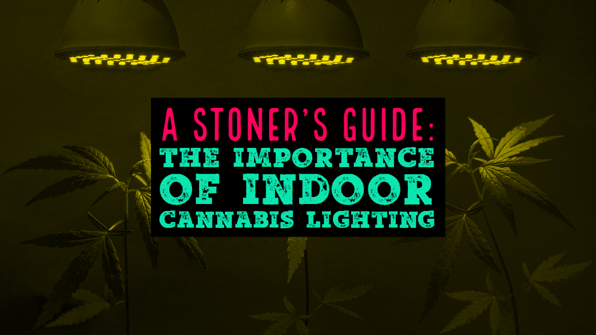 A Stoner’s Guide-The Importance of Indoor Cannabis Lighting