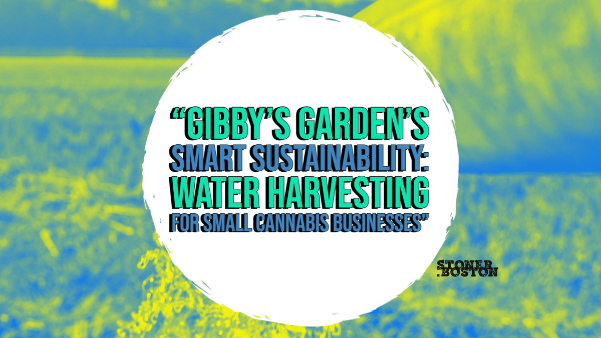 Gibbys Garden Smart Sustainability- Water Harvesting for small cannabis businesses