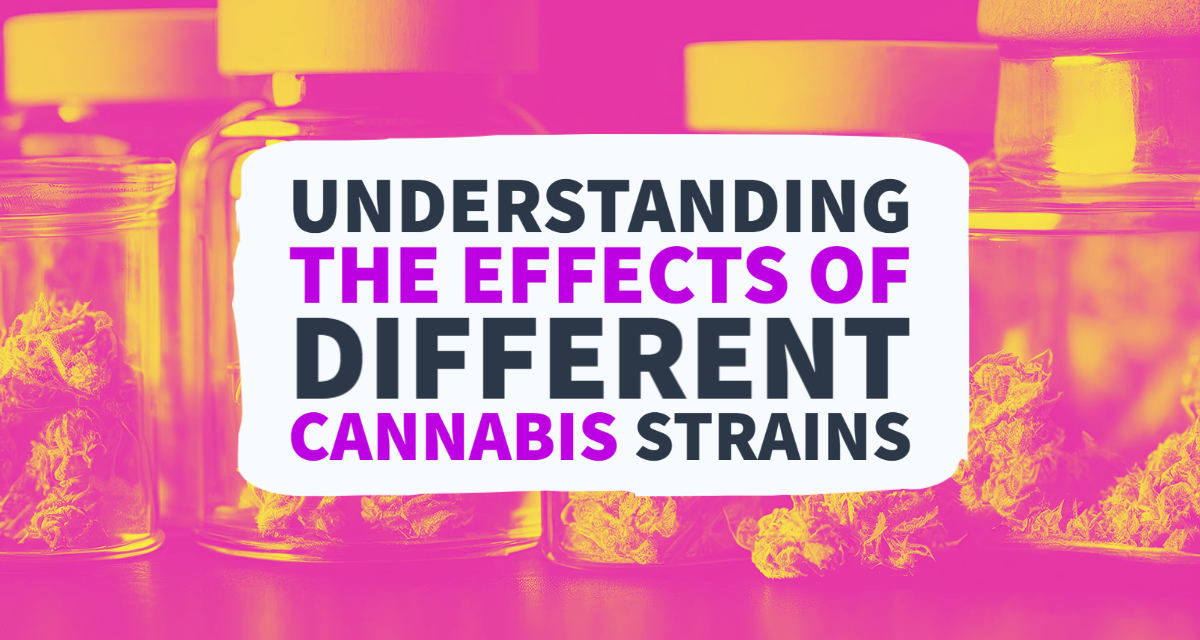 Understanding the Effects of Different Cannabis Strains